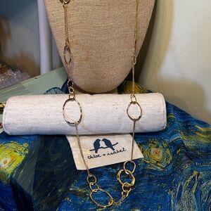 Chloe + Isabel Long Organic Link + Chain Necklace